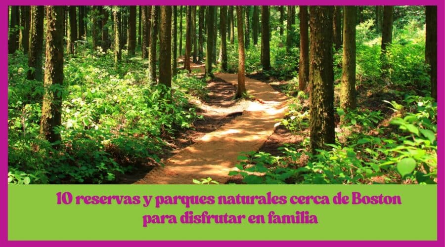 🌿 10 reservas y parques naturales cerca de Boston para disfrutar en familia